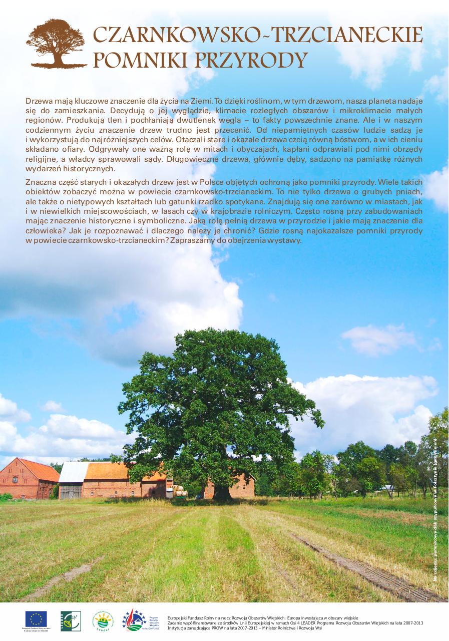 wystawa_pomniki.pdf - page 1/8