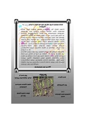 Page 3, መንግስት ራዕይ ዘሮች Booklet