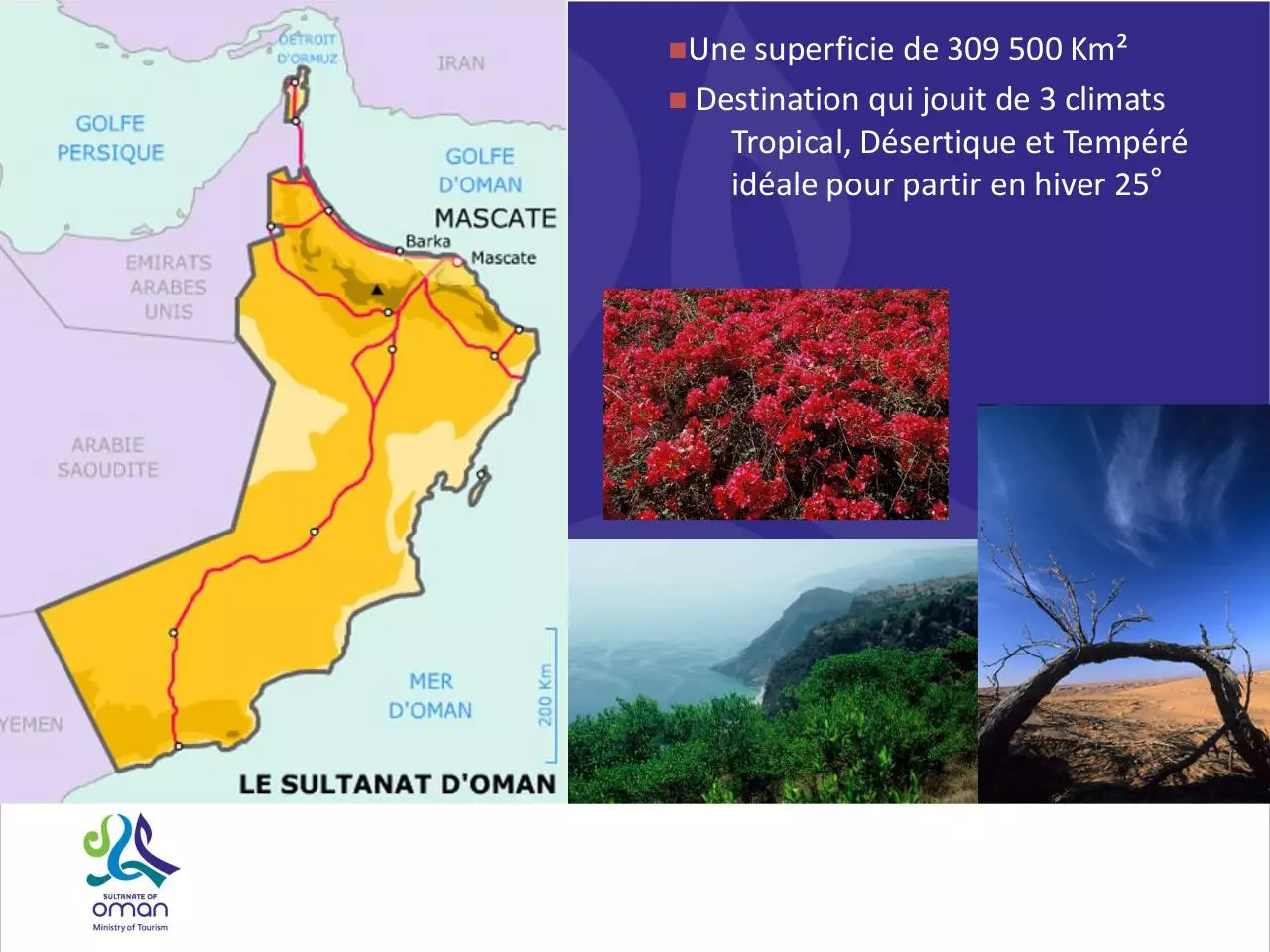 Page 3 of 99, Presentation Oman Avril 2010