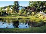 Page 4, Forest Hills Lochside
