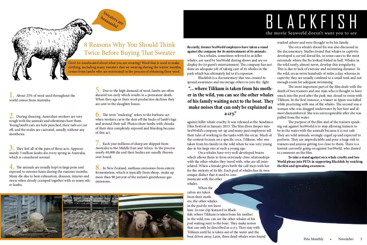 Page 2 of 3, Hutzler Newsletter