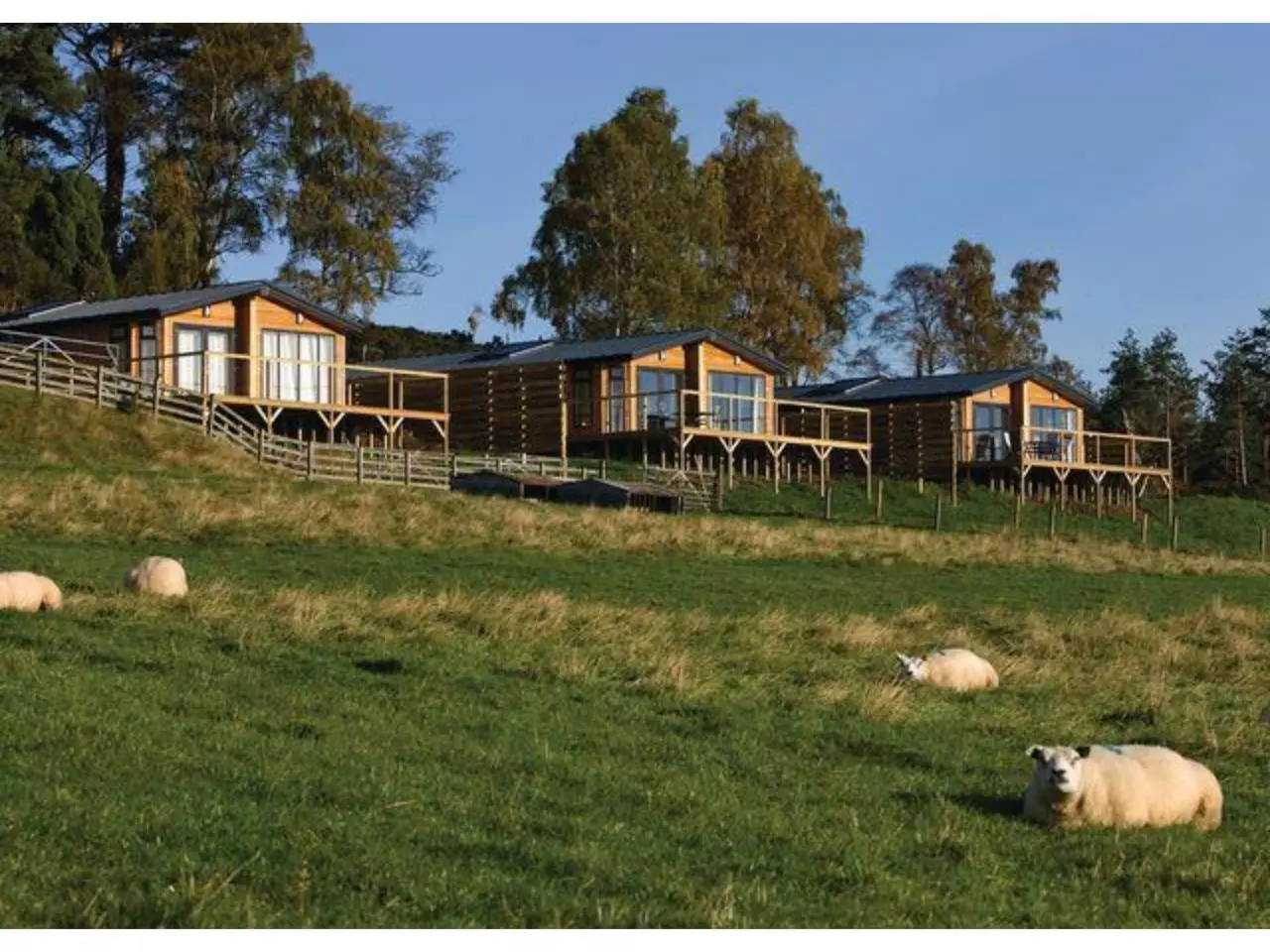 Page 4 of 8, Kessock Highland Lodges