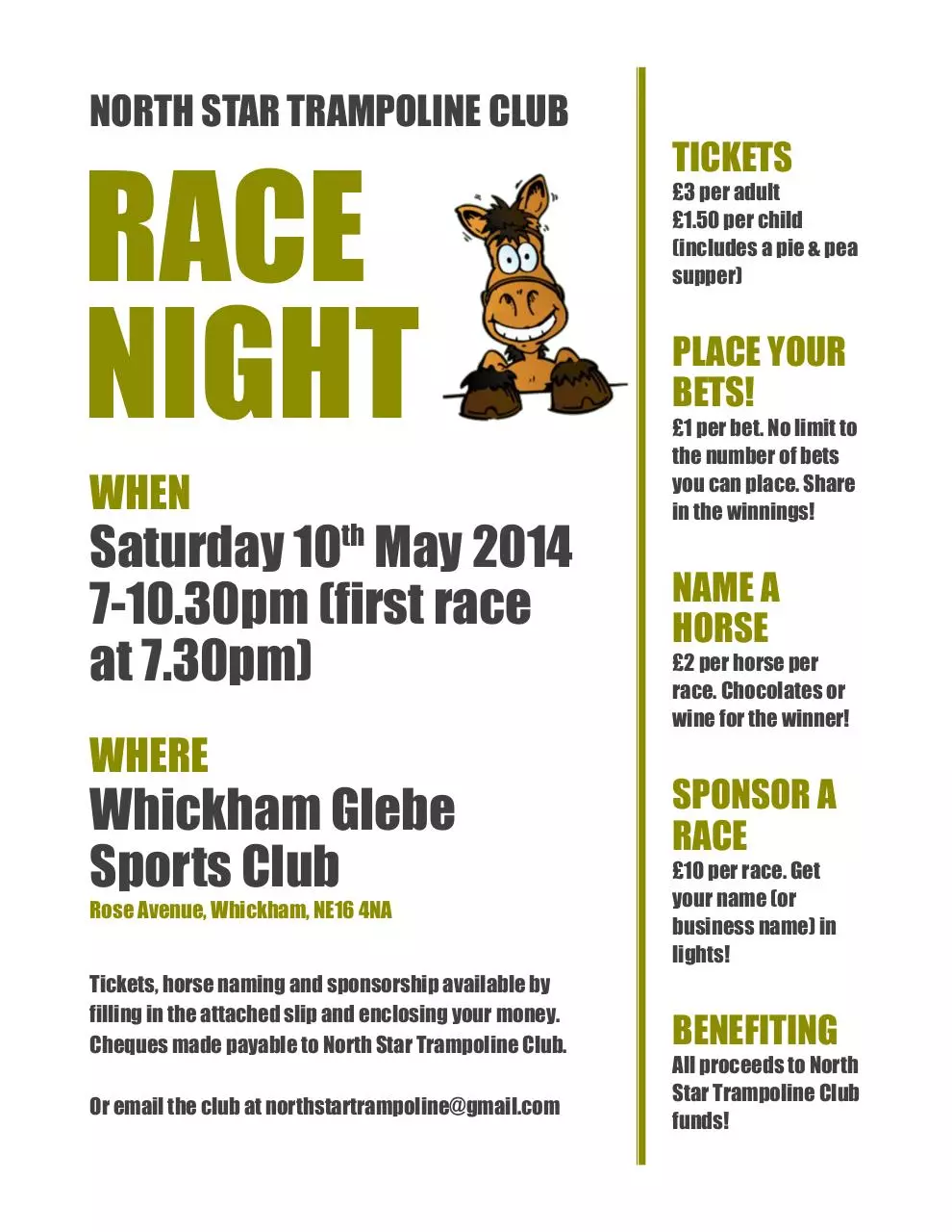 Page 1 of 1, North Star Race NIght Flyer