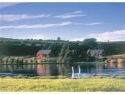 Page 4, Springwater Lodges