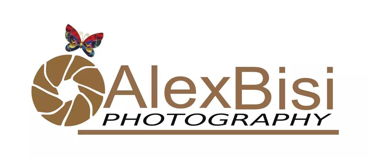 Page 1 of 1, Alexlogo