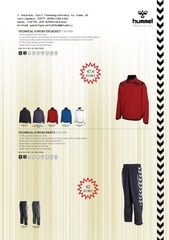 Page 4, 1. Technical X