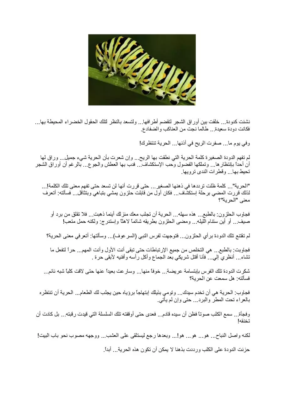 Page 1 of 2, Butterfly