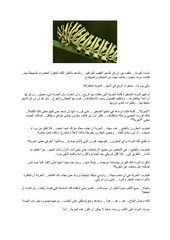 Page 1, Butterfly