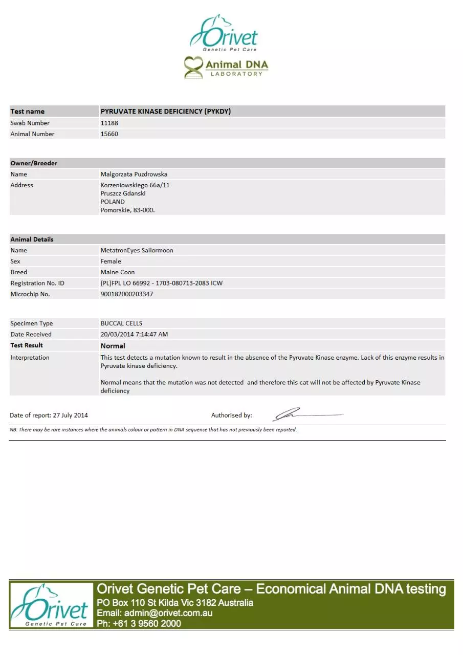 Page 1 of 1, PK Def DNA