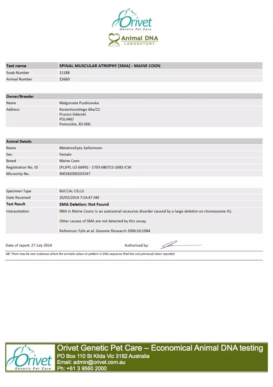 Page 1 of 1, SMA DNA