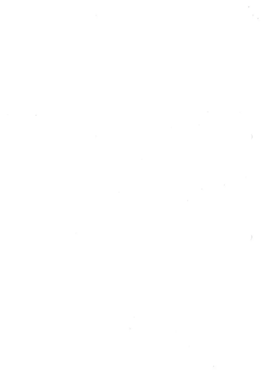 Page 2 of 104, 2014 06 23 BuReg Vorhabendokumentation