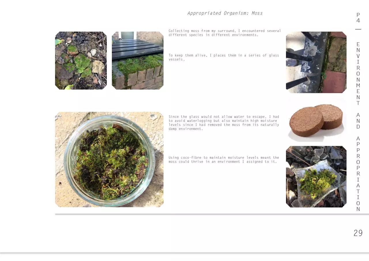 Page 2 of 23, Portfolio Excerpt (small)
