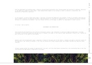 Page 1, Portfolio Excerpt (small)