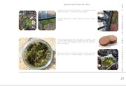 Page 2, Portfolio Excerpt (small)