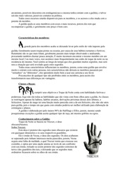 Page 2, Toque da noite 2