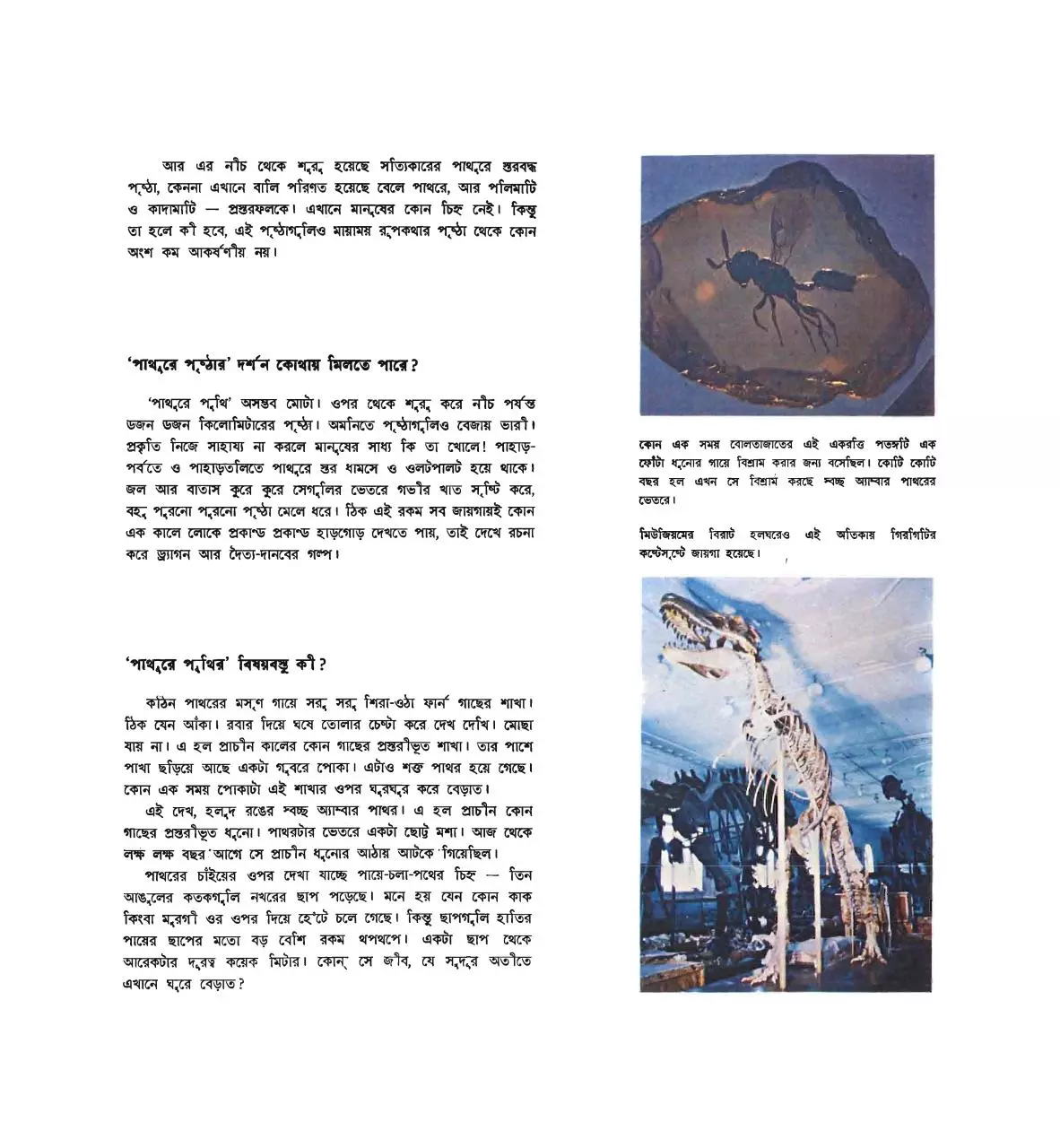 Page 5 of 44, Chhobite Shekaler Jontu Janoar Irina Yakovleva