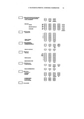 Page 5, neurodev screening 5 y