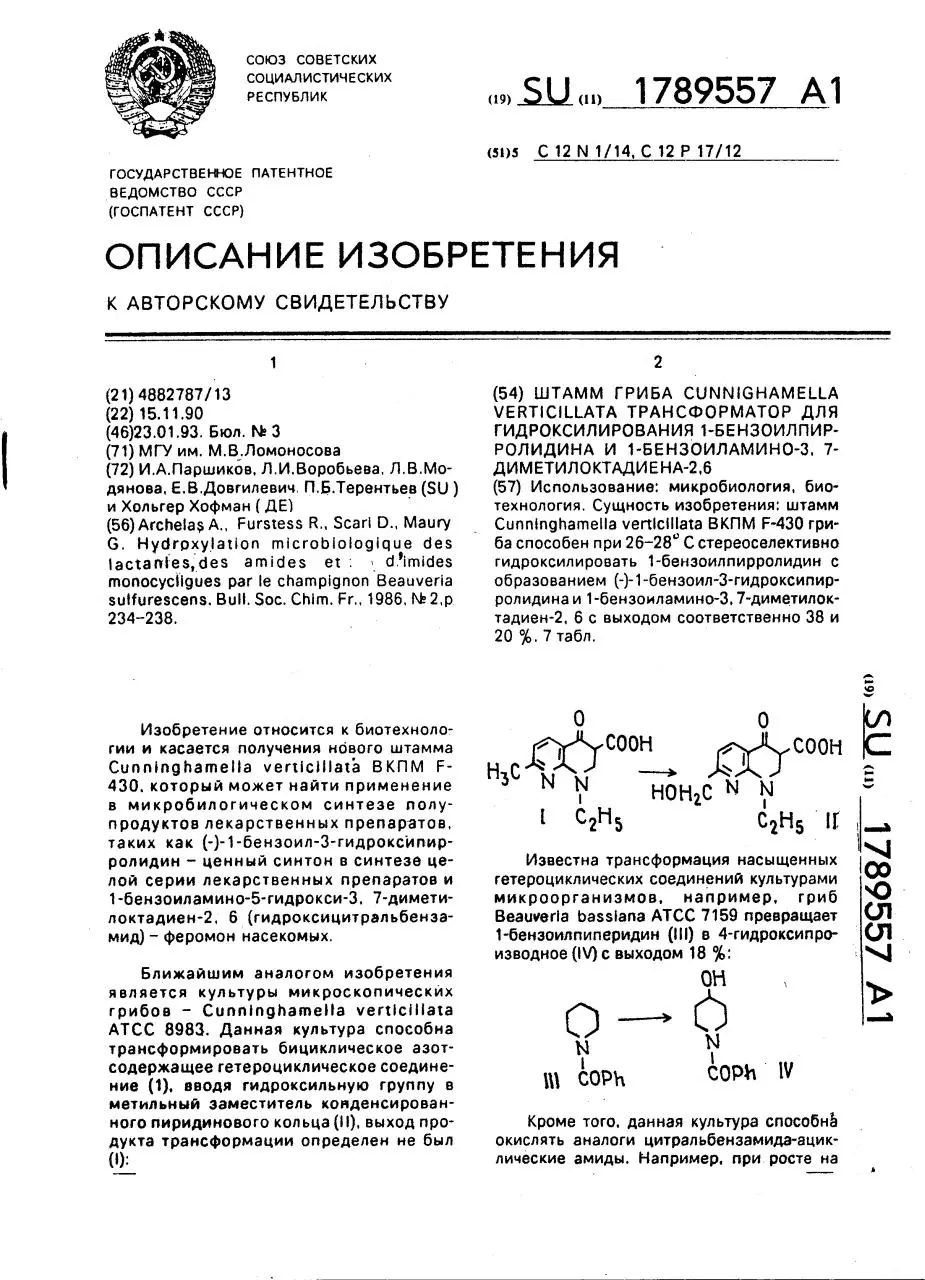 Page 1 of 7, Strain of fungus Cunninghamella verticillata VKPM F 430