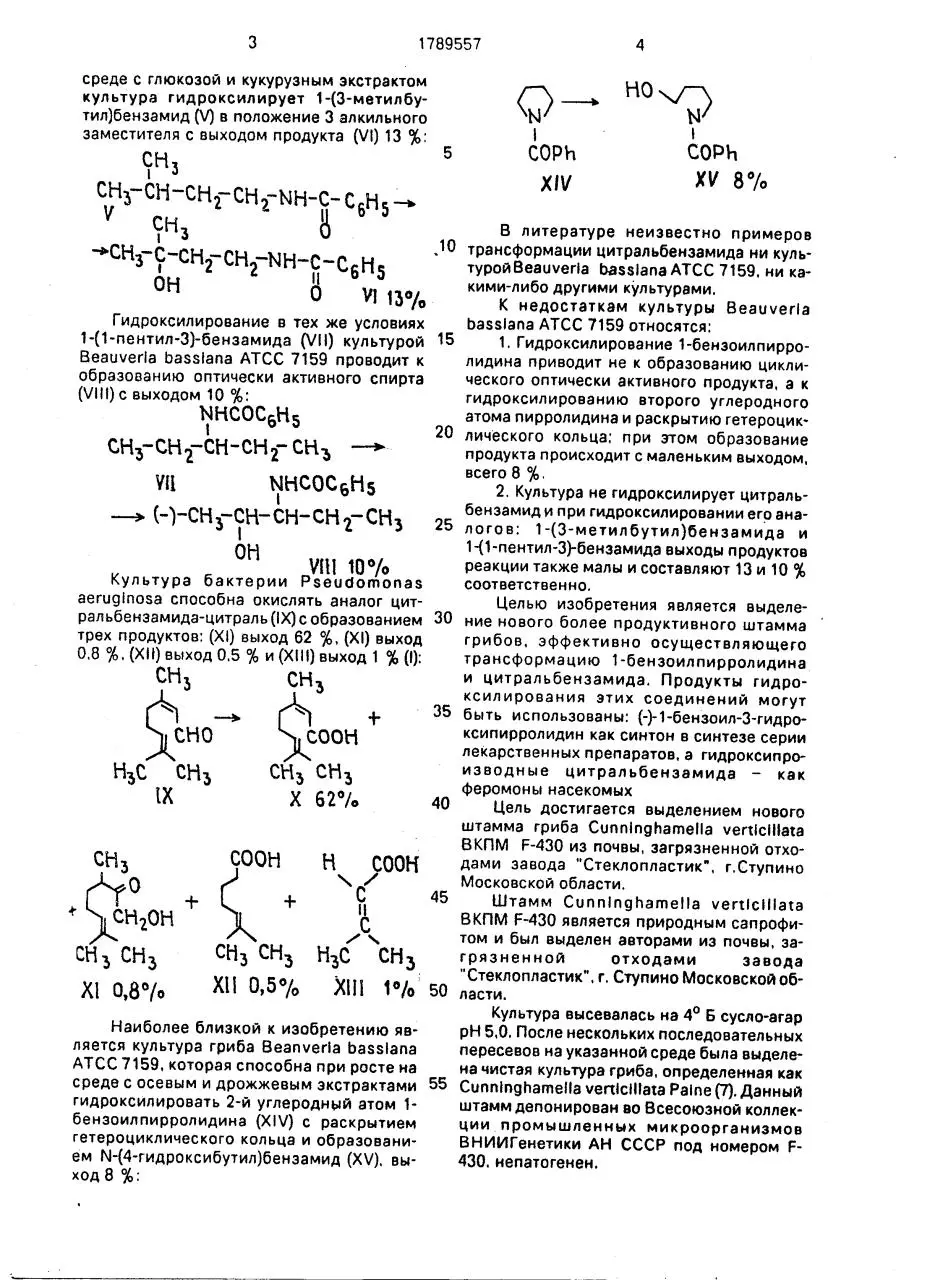 Page 2 of 7, Strain of fungus Cunninghamella verticillata VKPM F 430