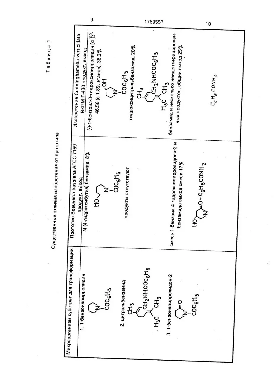 Page 5 of 7, Strain of fungus Cunninghamella verticillata VKPM F 430
