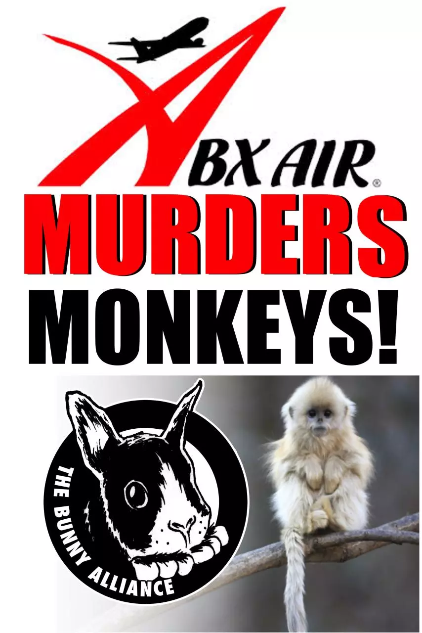 Page 1 of 1, monkeyposterabx