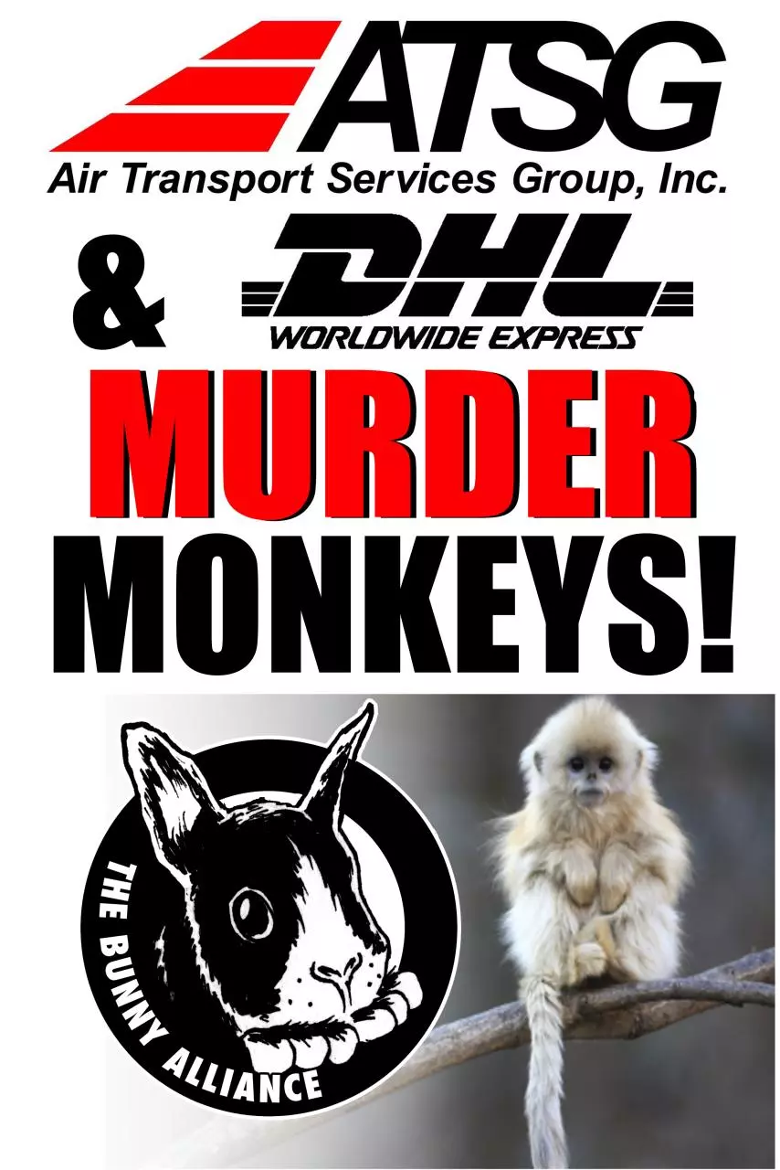 Page 1 of 1, monkeyposteratsgdhl