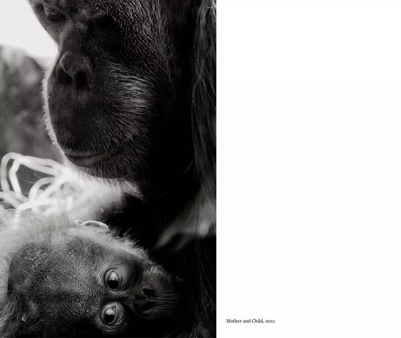 Page 4 of 28, Portfolio