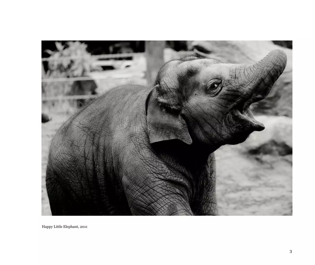 Page 5 of 28, Portfolio