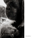 Page 4, Portfolio