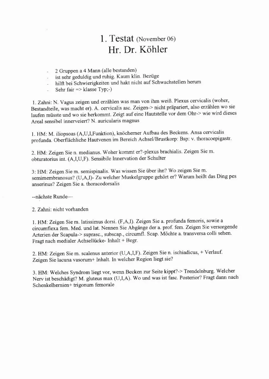 Page 3 of 10, Testat Anatomie