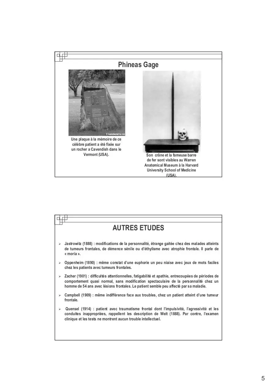 Page 5 of 124, COURS M1 Neuropsycho des FE Allain