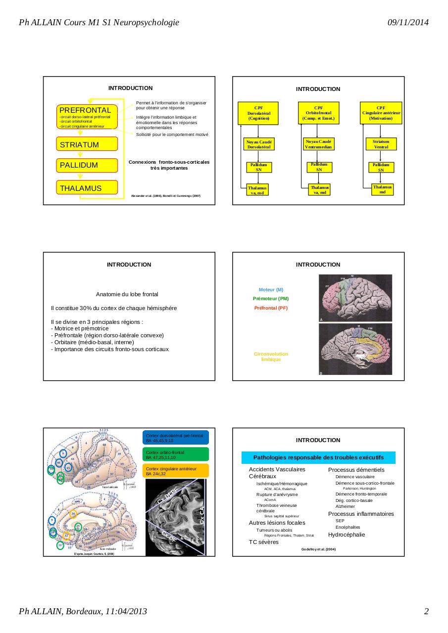Cours M1 neuropsychologie Partie 1.pdf - page 2/36