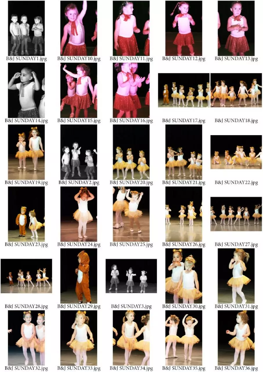 Page 5 of 32, Photo album