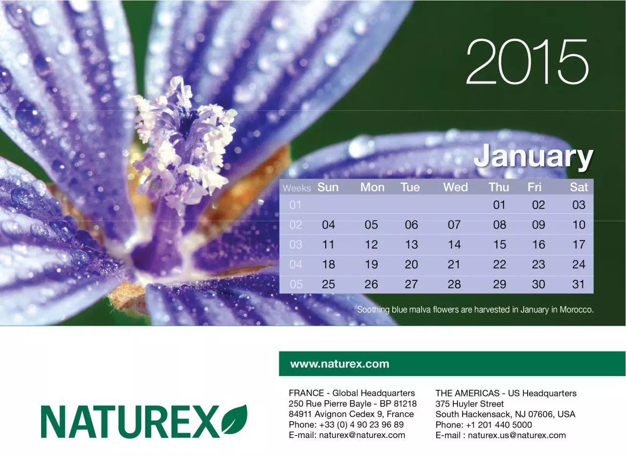 Page 2 of 14, Naturex2015Preview30Oct
