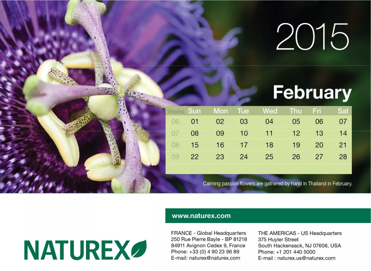 Page 3 of 14, Naturex2015Preview30Oct