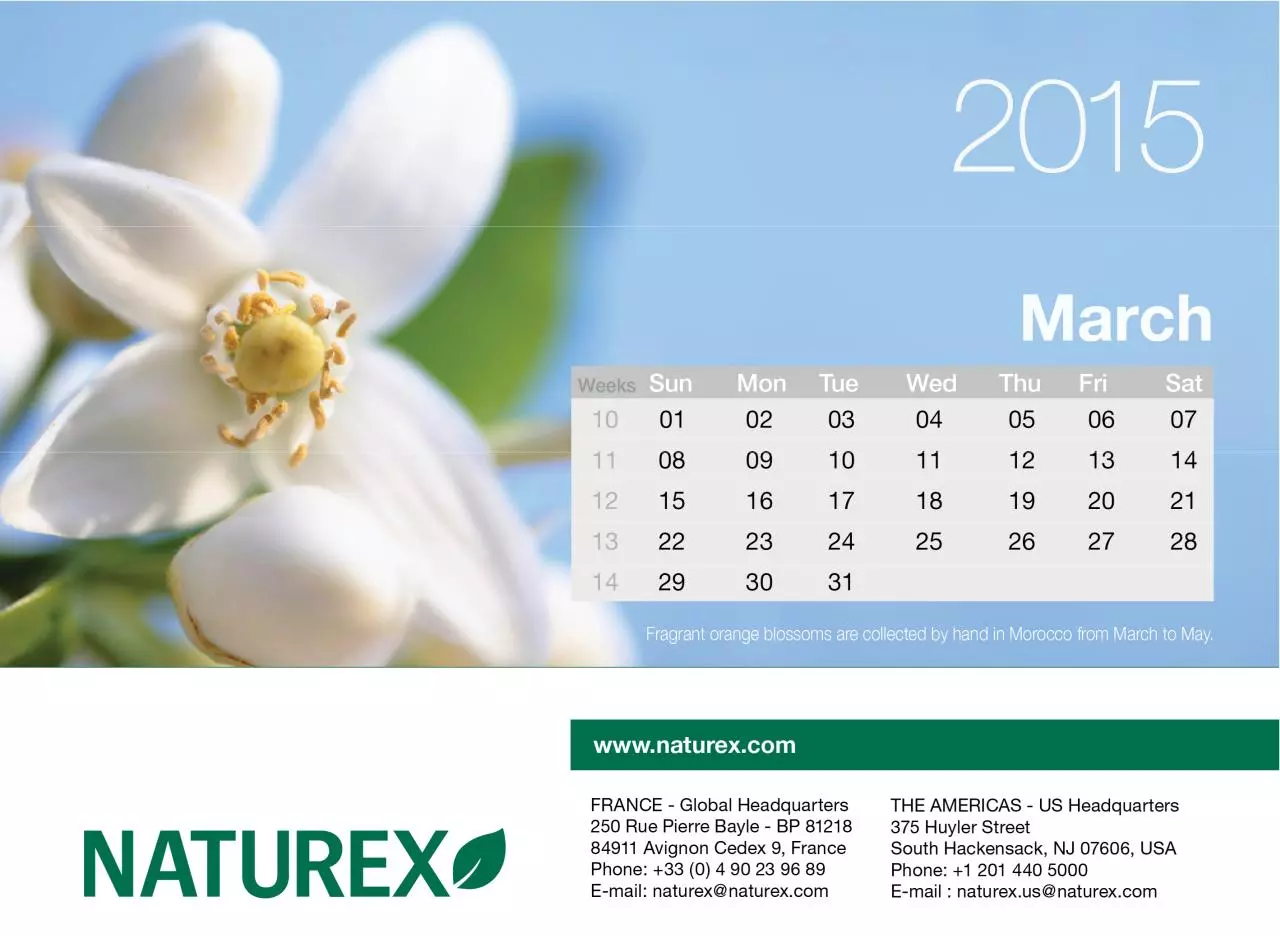 Page 4 of 14, Naturex2015Preview30Oct
