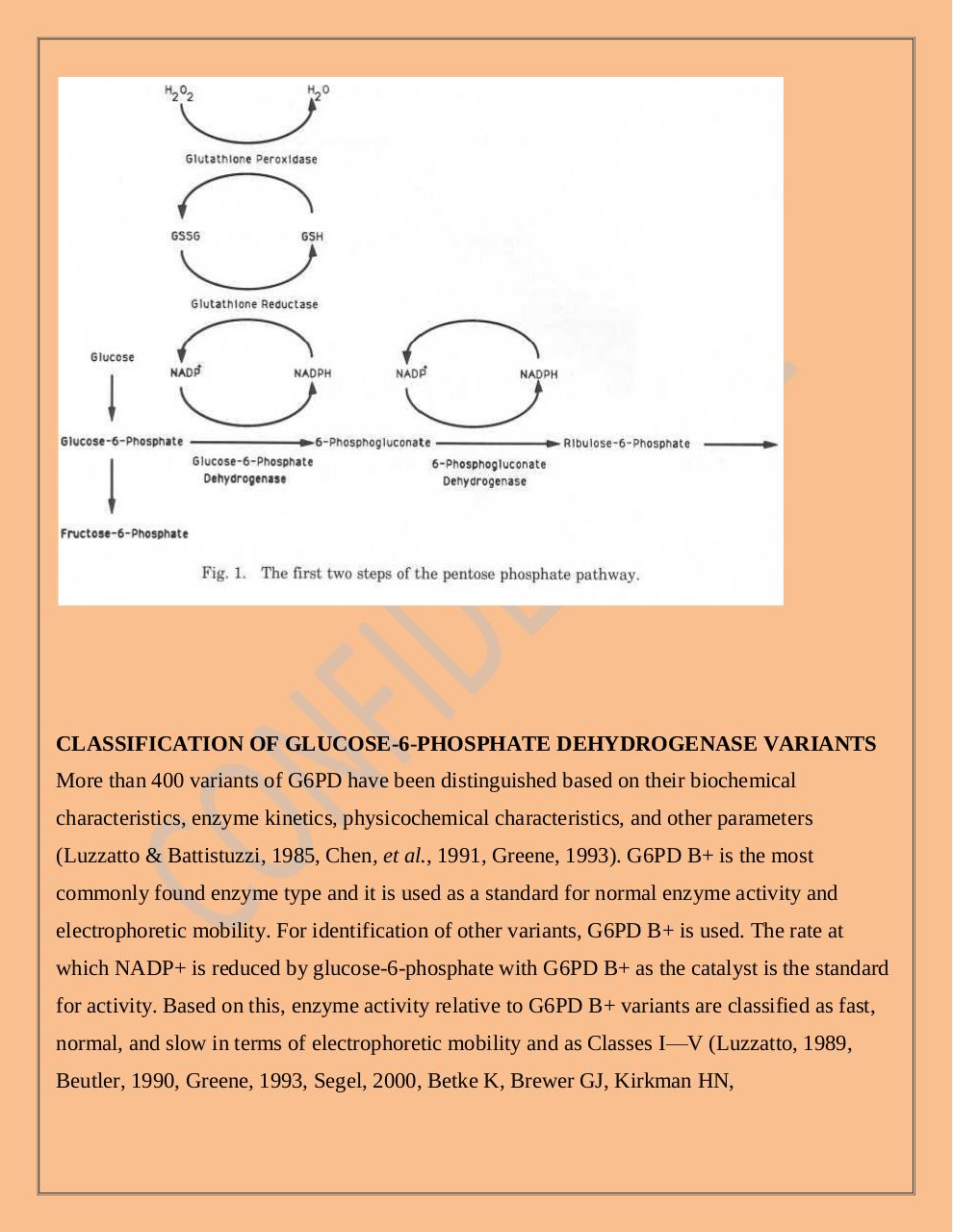 G6PD_is_a_typical_cytoplasmic.pdf - page 4/10