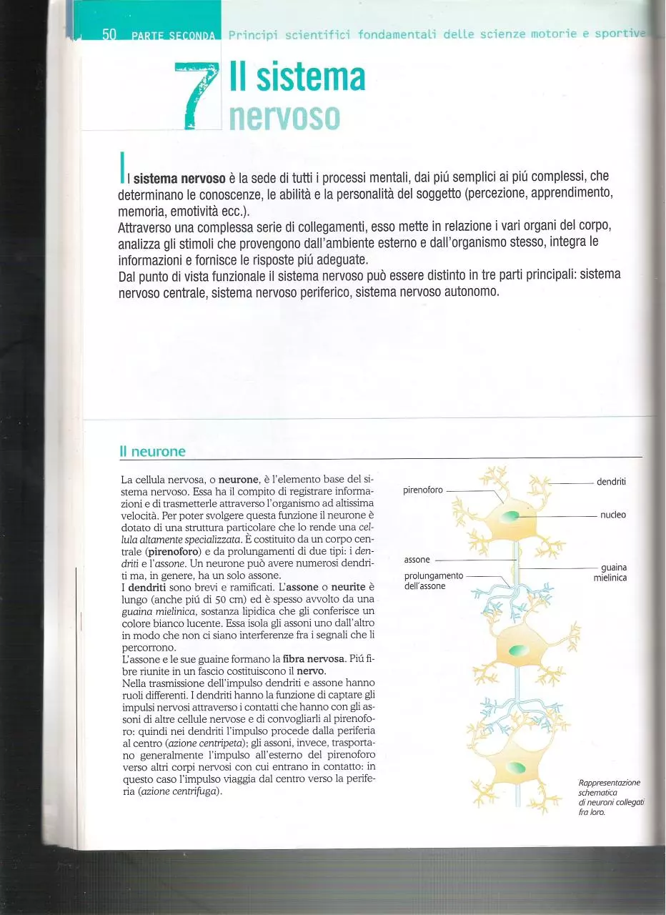 Page 1 of 4, LIbro 3