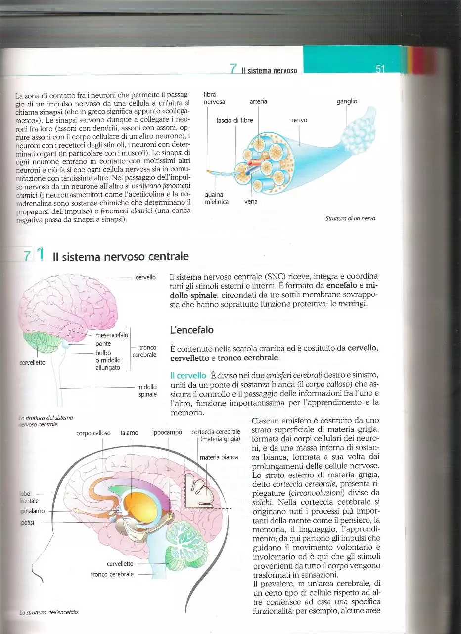 Page 2 of 4, LIbro 3