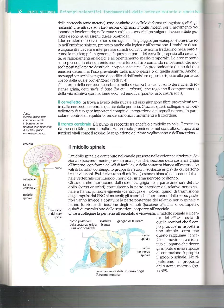 Page 3 of 4, LIbro 3
