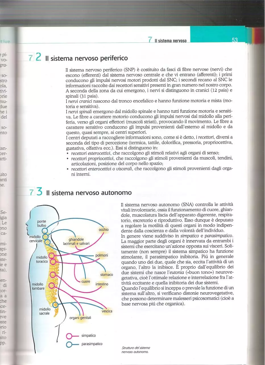Page 4 of 4, LIbro 3