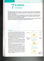 Page 1, LIbro 3