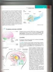 Page 2, LIbro 3
