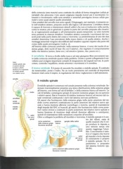 Page 3, LIbro 3