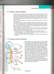 Page 4, LIbro 3
