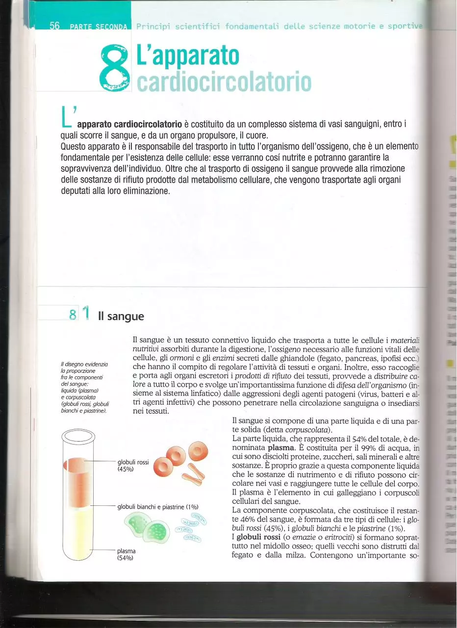 Page 1 of 6, LIbro 4