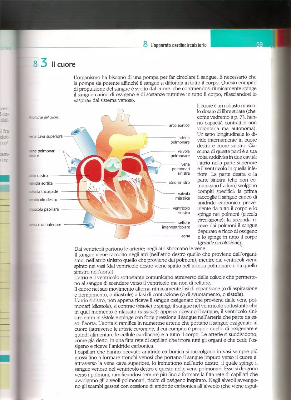 Page 4 of 6, LIbro 4