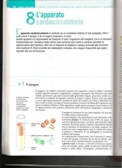 Page 1, LIbro 4