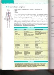 Page 3, LIbro 4