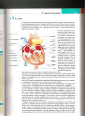 Page 4, LIbro 4